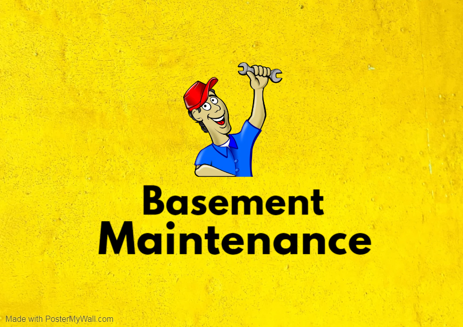 basement maintenance expert | Basement Savvy